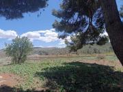 Masía en venta en Yecla. Masías.