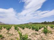 Masía en venta en Yecla. Masías.