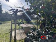 Massa quadrilocale 112mq