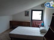 2 stanze in affitto