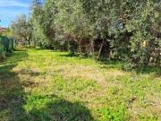 Massarosa 5 vani 160mq