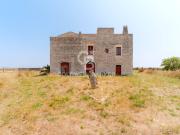 Masseria in affitto a Rutigliano