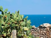 Masseria in vendita a Nard, Torre Inserraglio