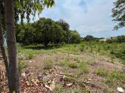 Massive 4,527 sqm Lot Perfect for a Residential...