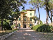 Master Villa con vigneto e uliveto 500m² Terricciola