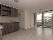 Matucana 1161 [1058 3]