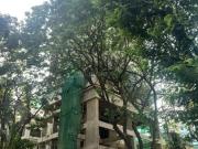 Matunga East 2 BHK Apartment For Sale Mumbai