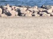 Mauguio Carnon Plage Vente Maison 34