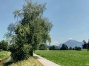 SALZBURG STADT, FAMILIENHIT MAXGLAN WEST: 4 Zimmer, XXL...