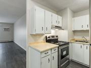 Mayfair Manor 1 Bedroom Apartment for Rent at 407 5 Ave...