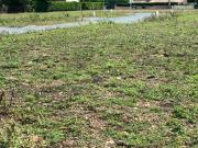 Mazeray Vente Terrain 17