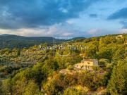 Mazet en pierres, oliviers centenaires et vue solaire...