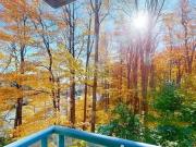 McCowan Rd Ellesmere Rd 11 Toronto ON M1P 5C5 2 Bedroom...
