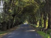 MCHICO – Lotes en Venta en Pilar Financiación