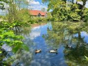 Meadow View, Uckfield Lane, Hever, Edenbridge TN8, 3 bed...