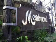Meadowood executive village