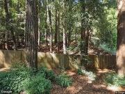 Meadowsweet, CORTE MADERA, CA 94925
