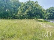 Médis 17600 Achat / Vente terrain