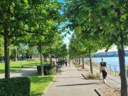 Mega Lage! Helle 3 Zimmer Wohnung 74qm + Balkon+Garage...