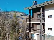 Megève 74120 Achat / Vente appartement 2 pièces t2 terrasse