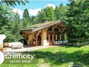 Megève 74120 Achat / Vente maison 4 pièces t4 terrasse