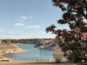 Mehr als eine Wohnung Ein Lebensgefühl am See!