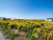 Mehrgenerationen Wohnbauprojekt vor den Toren Wiens