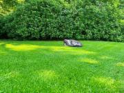 Mein eigener Garten gehört dazu! 2 Zimmer Neubau...