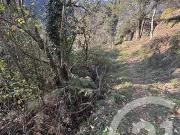 Melles 31440 Achat / Vente terrain