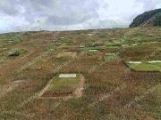 MEMORIAL LAWN LOT FOR SALE IN PROVIDENCE ANTIPOLO, NICE...