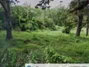 MEMORIAL PARK Agricultural Land Mukim Batu Berendam For...