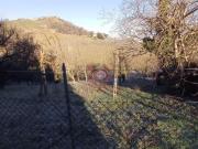 MERCATO SARACENO CC152: casa abbinata ad un lato con 2...