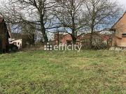 Merkwiller Pechelbronn 67250 Achat / Vente terrain