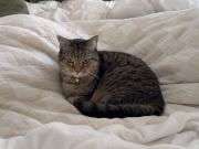 Mermaid Beach Mermaid Beach