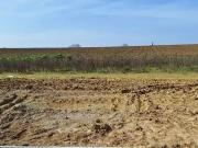 Merville 31330 Programme neuf terrain neuf à vendre