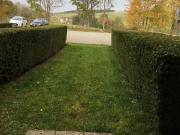 METABIEF appartement tout équipé avec jardinet et accès...