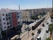 Meublés Filles ou Hommes Célibataires Ensoleillée