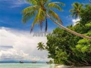 Meublés Filles ou Hommes Célibataires Ensoleillée