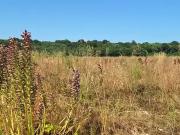 Meursac 17120 Programme neuf terrain neuf à vendre