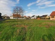 Meyenheim Vente Terrain 68