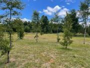 Mh&hauslink Vende  Dos Parcelas Una Con Casa Se Vende