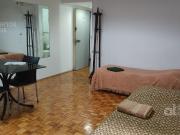 Microcentro Departamento Monoambiente Alquiler Temporario