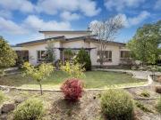 MID CENTURY MARVEL NEW PRICE TO CONSIDER