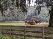 Middleton Oaks Rd, Charleston, Plot For Sale