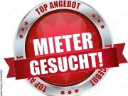 Mieter Gesucht Dachgeschosswohnung