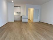 Mietwohnung mit Terrasse in Döbling