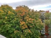 Mietwohnung Wohnung 3 Zimmer Eigentumswohnung