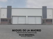 MIGUEL DE LA MADRID PROLONGACION CONSTITUCIÓN NAVE...