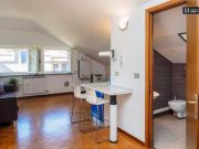 Milan Milan 20090 87549616