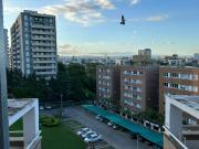 Milenica Student Apartment Rental